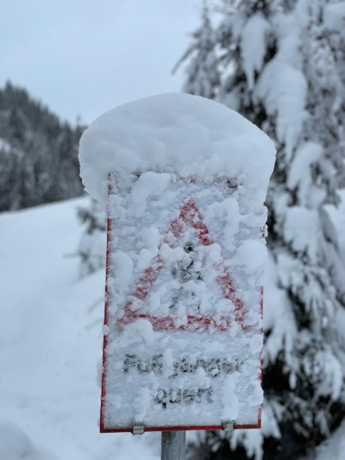Haizelrock Kirchberg in Tirol Exterior foto